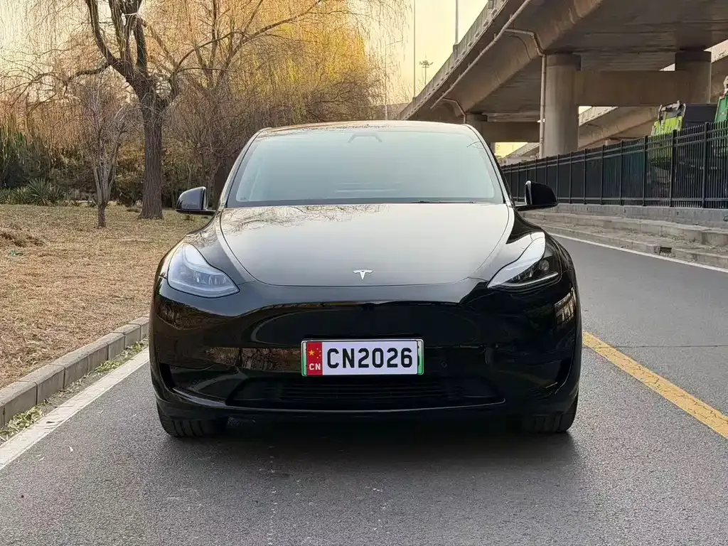 Tesla Model Y 2022 из CN, фото 2