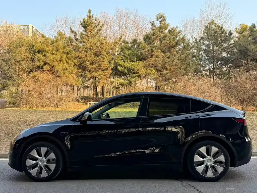Tesla Model Y 2022 из CN, фото 4