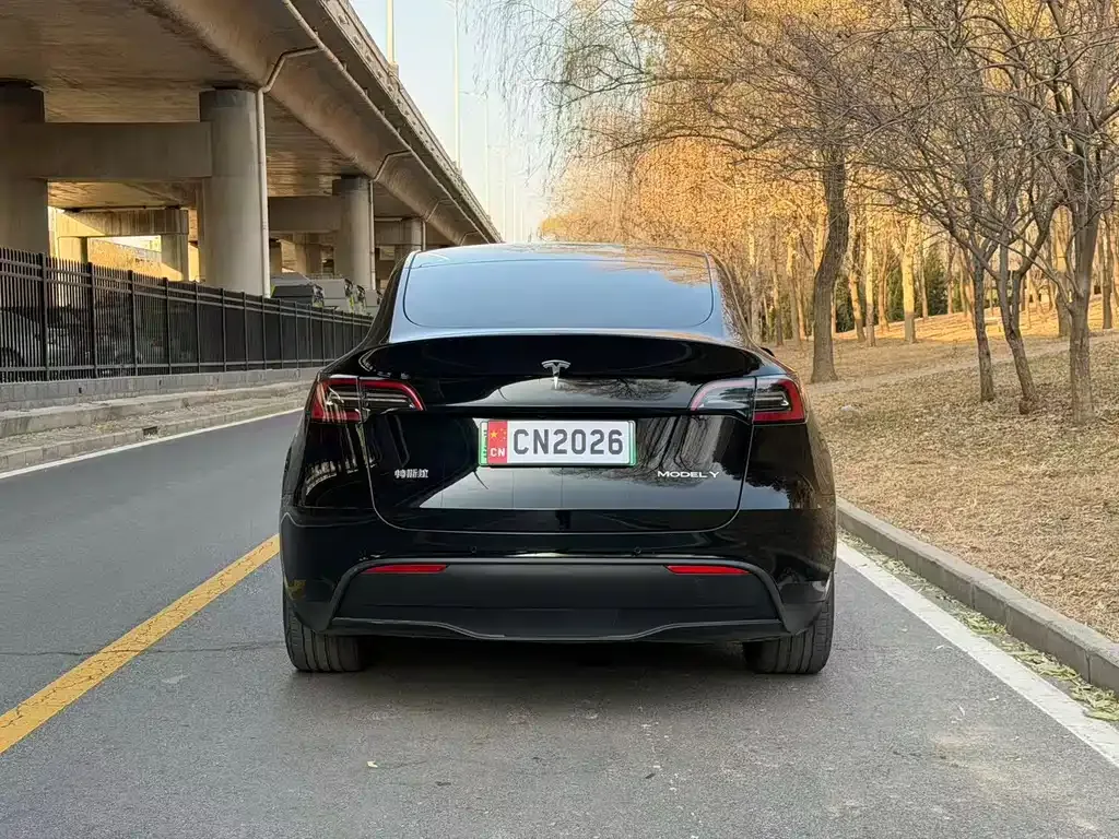 Tesla Model Y 2022 из CN, фото 3