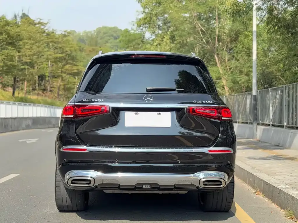 Mercedes-Benz GLS 2021 из CN, фото 2
