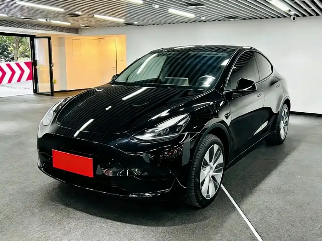 Tesla Model Y 2023 из CN, фото 1