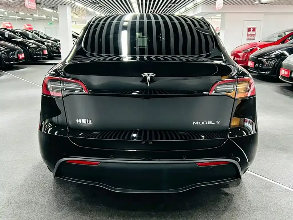 Tesla Model Y 2023 из CN, фото 9