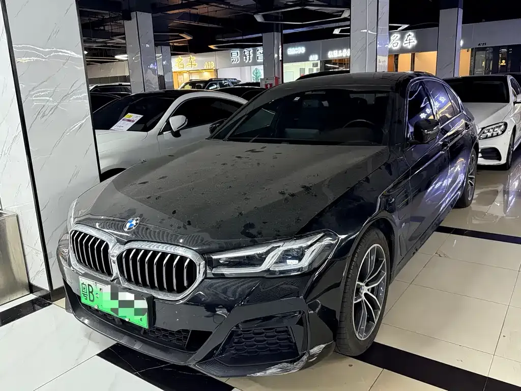 BMW 5 Series New Energy 2021 из CN, фото 1