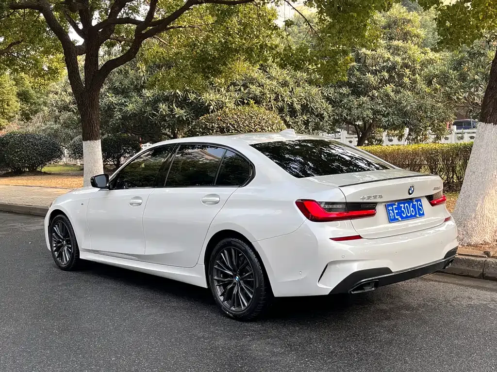 BMW 3 Series 2022 из CN, фото 8