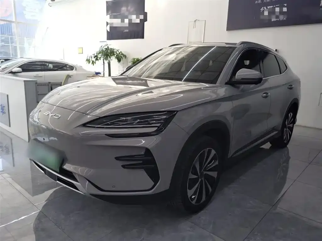 BYD PLUS New Energy 2023 из CN, фото 1