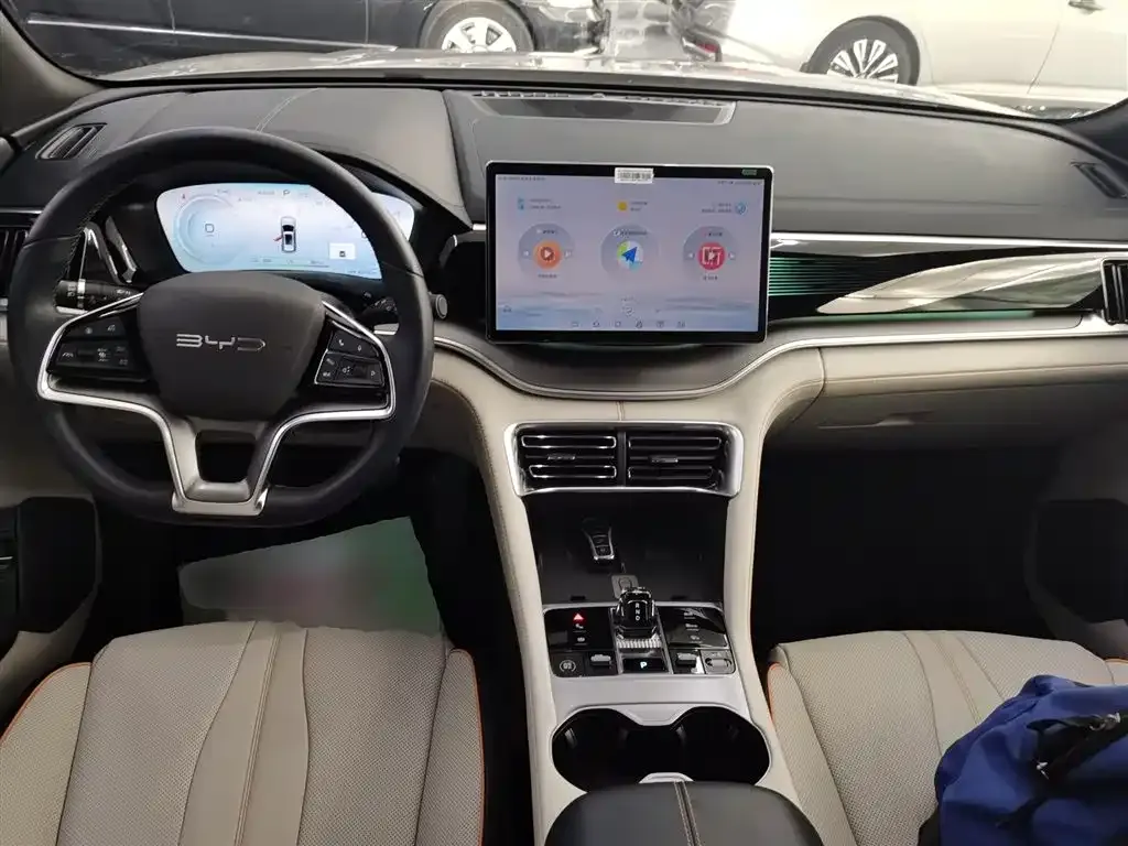 BYD PLUS New Energy 2023 из CN, фото 10