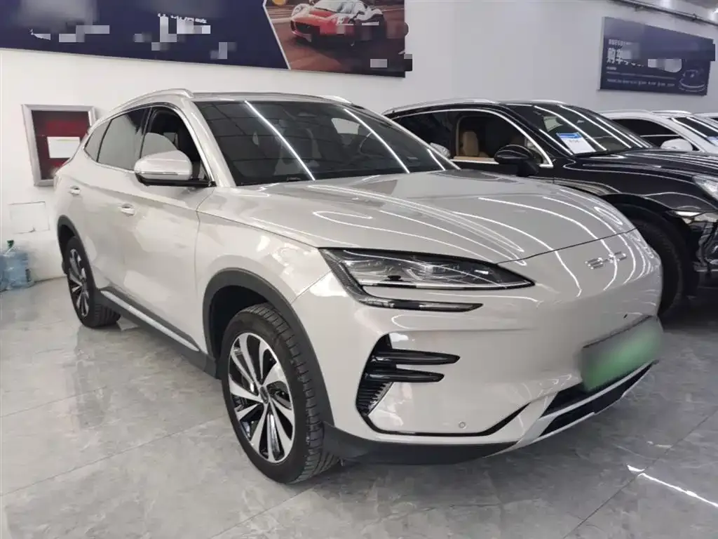 BYD PLUS New Energy 2023 из CN, фото 4
