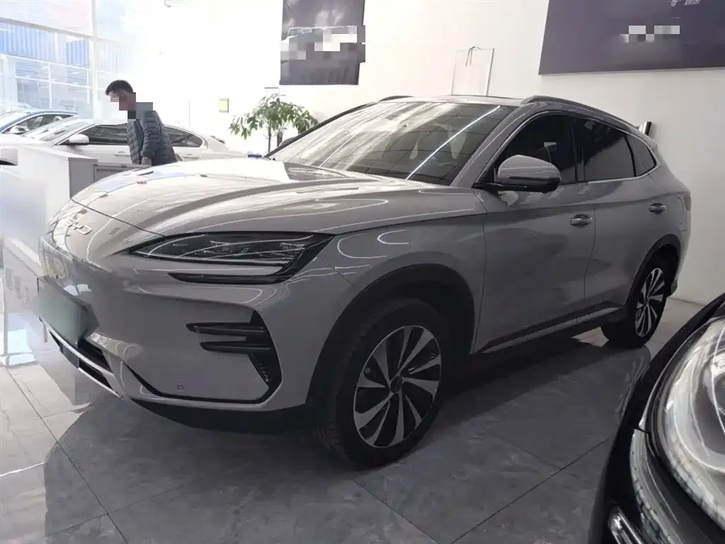 BYD PLUS New Energy 2023 из CN, фото 5
