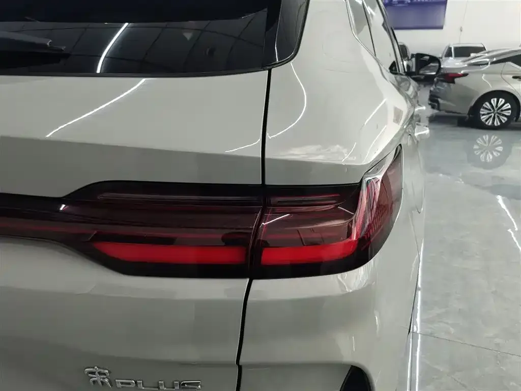 BYD PLUS New Energy 2023 из CN, фото 8