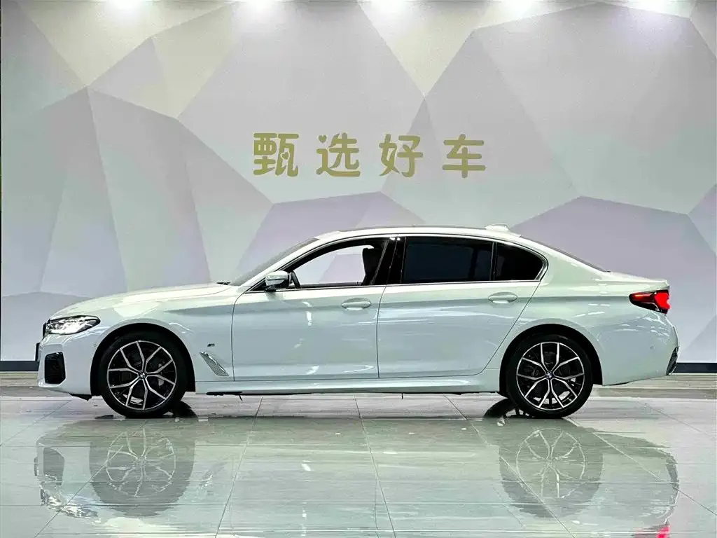 BMW 5 Series 2022 из CN, фото 3