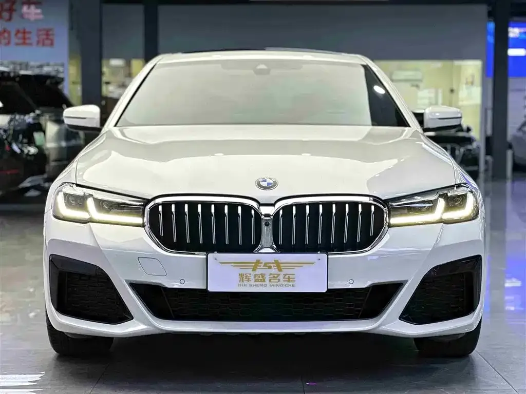 BMW 5 Series 2022 из CN, фото 5