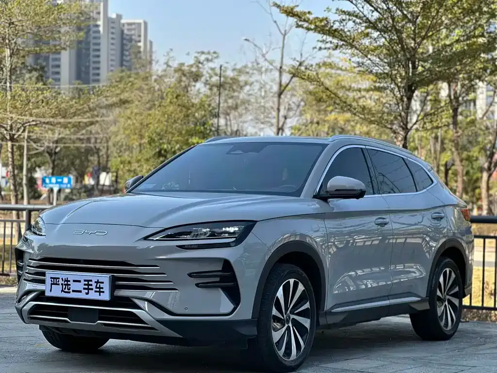 BYD PLUS New Energy 2024 из CN, фото 1