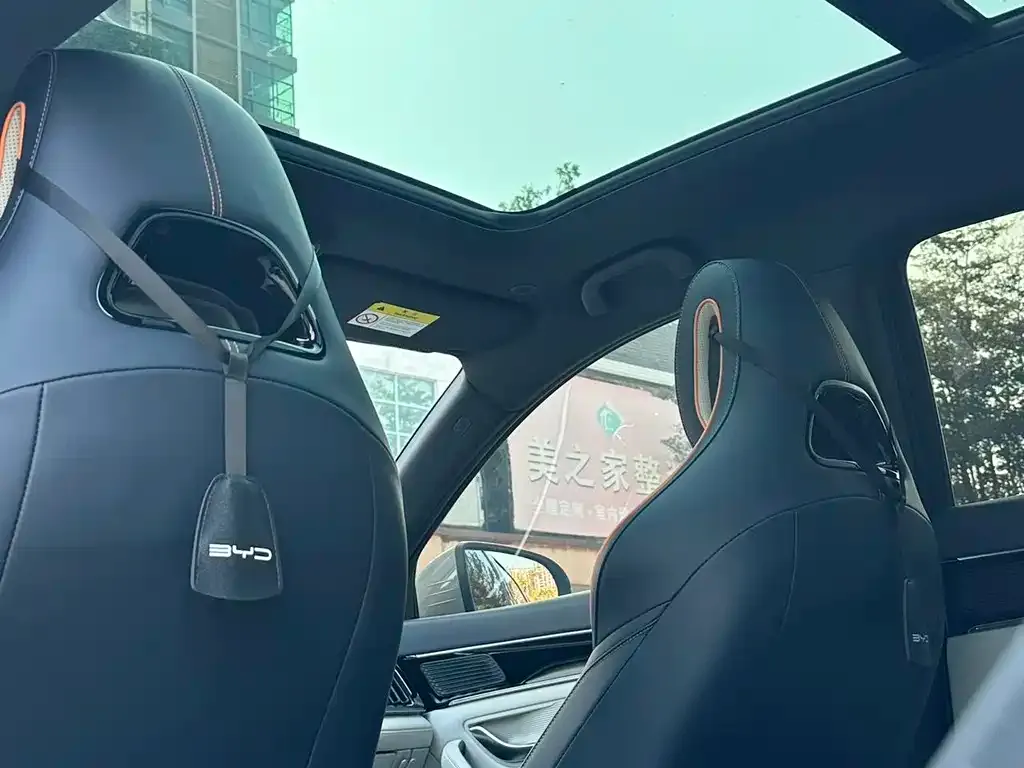 BYD PLUS New Energy 2024 из CN, фото 2