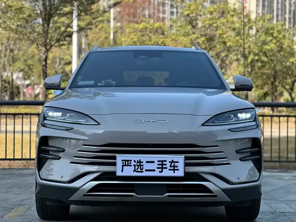 BYD PLUS New Energy 2024 из CN, фото 4