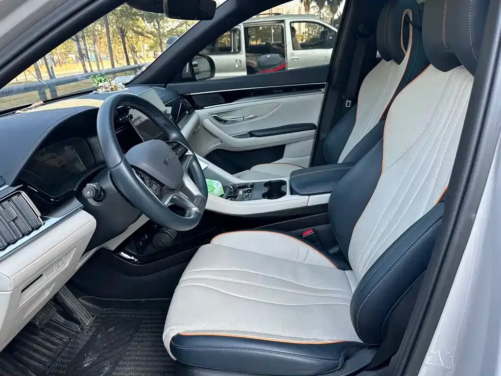 BYD PLUS New Energy 2024 из CN, фото 6