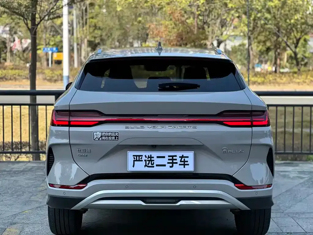 BYD PLUS New Energy 2024 из CN, фото 7