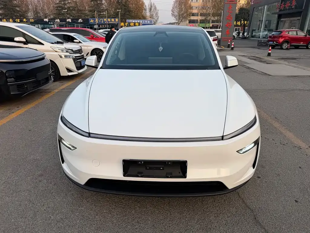 Tesla Model Y 2025 из CN, фото 6