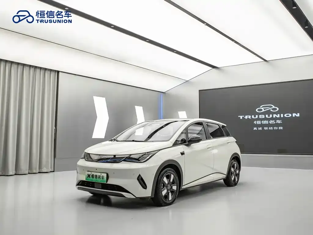 BYD Dolphin 2025 из CN, фото 1
