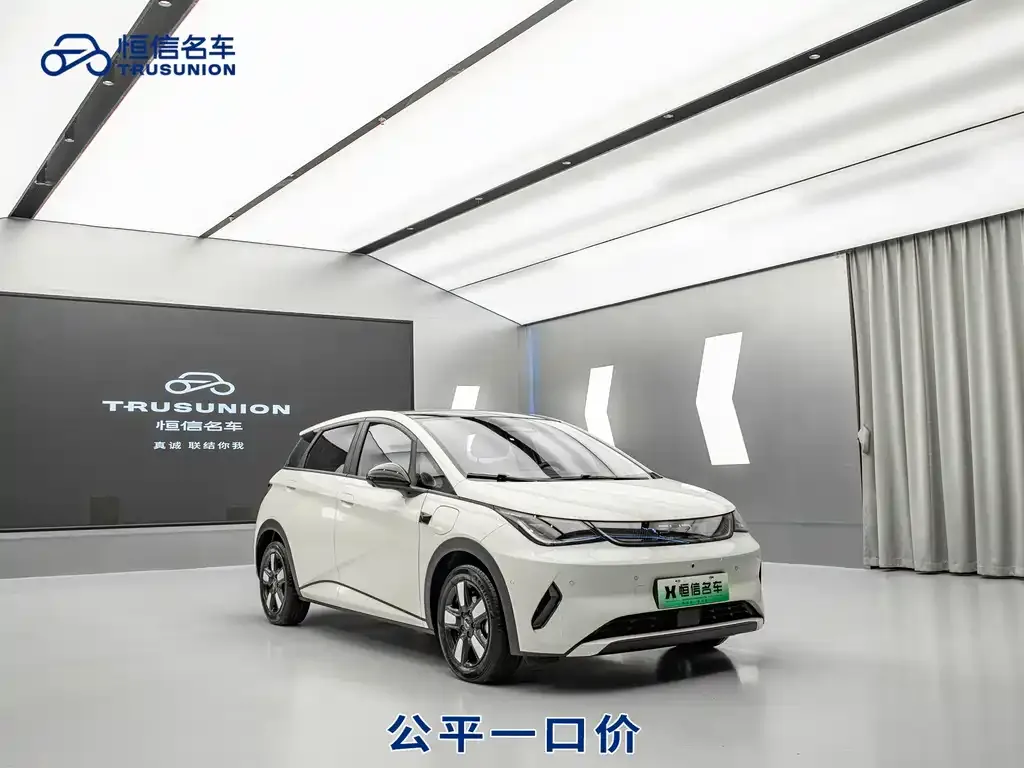 BYD Dolphin 2025 из CN, фото 3