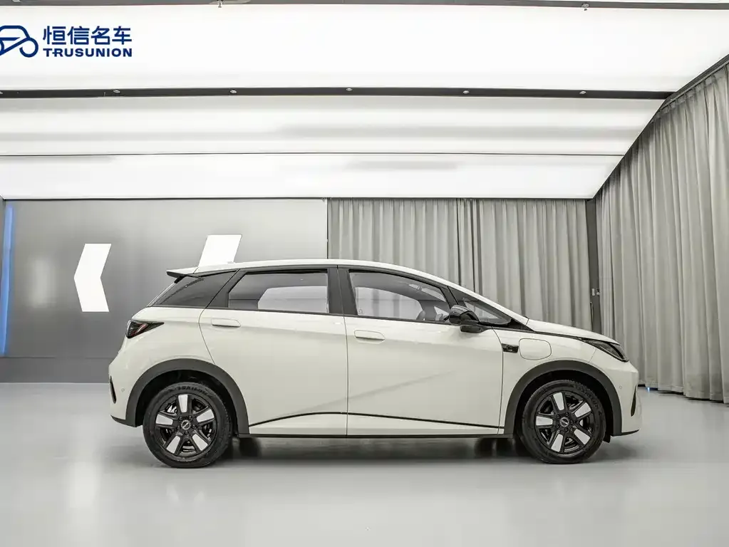 BYD Dolphin 2025 из CN, фото 6