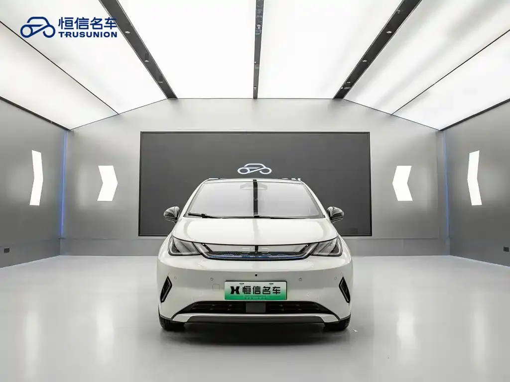 BYD Dolphin 2025 из CN, фото 4