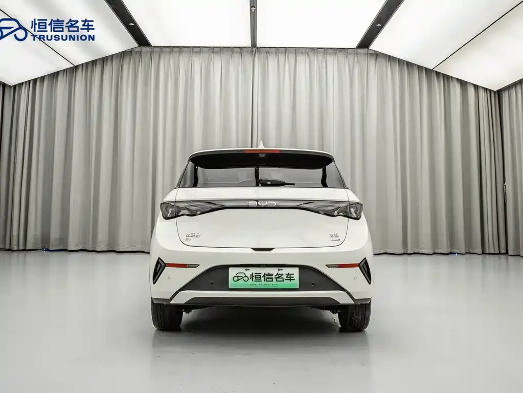 BYD Dolphin 2025 из CN, фото 5