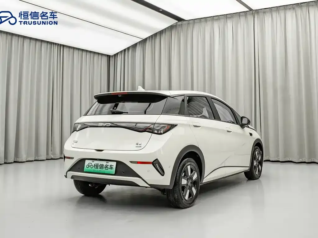 BYD Dolphin 2025 из CN, фото 10