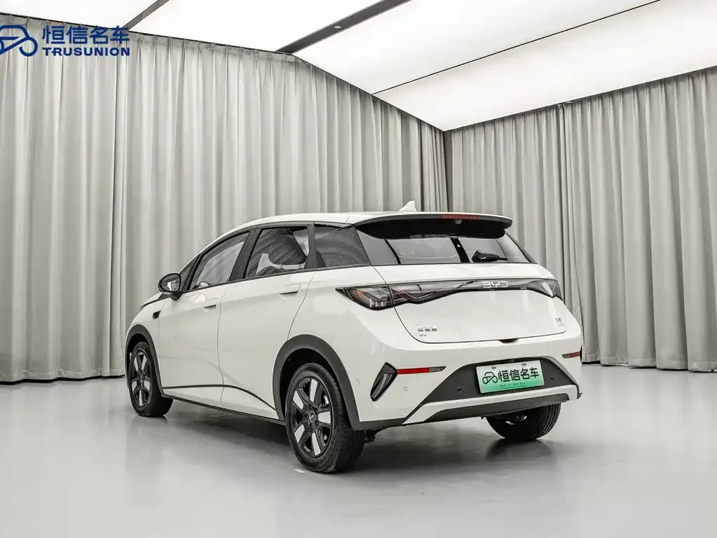 BYD Dolphin 2025 из CN, фото 8