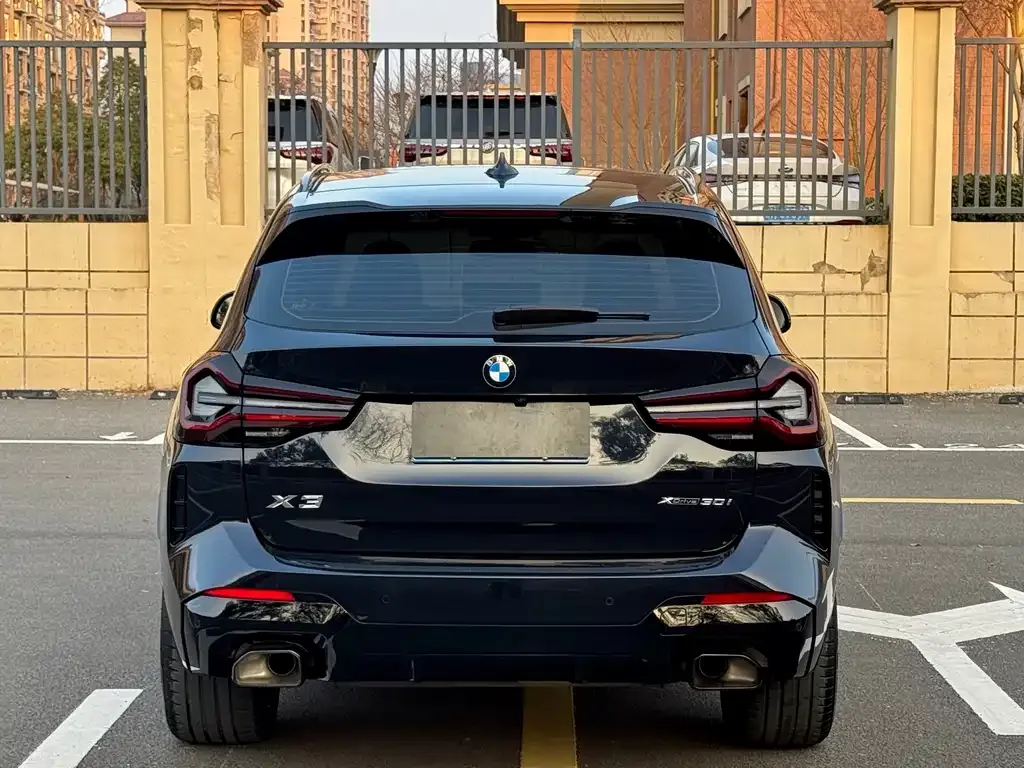 BMW X3 2024 из CN, фото 6