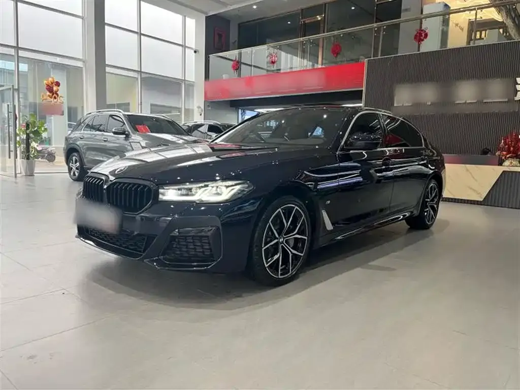 BMW 5 Series 2022 из CN, фото 1