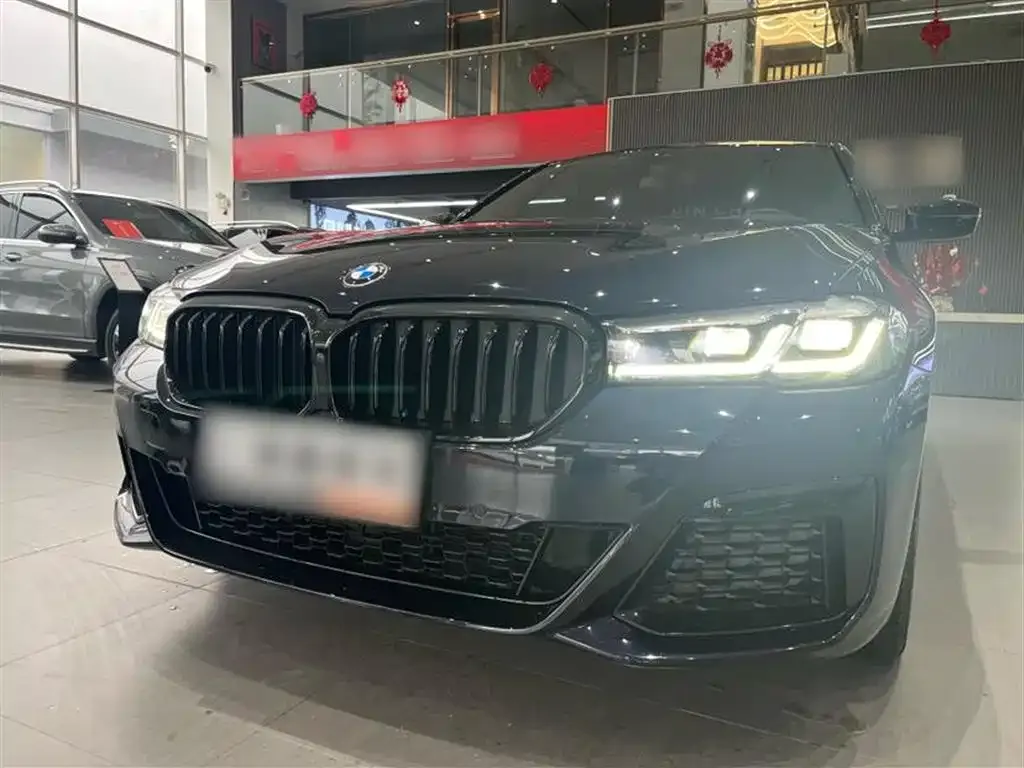 BMW 5 Series 2022 из CN, фото 4