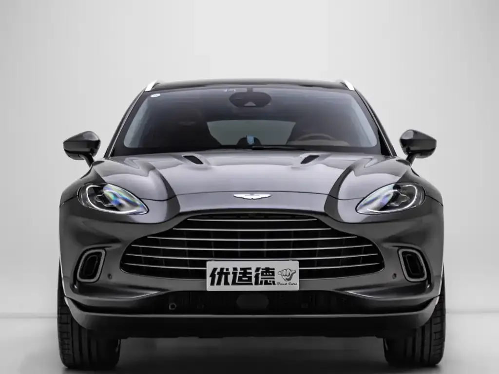 Aston Martin DBX 2021 из CN, фото 3