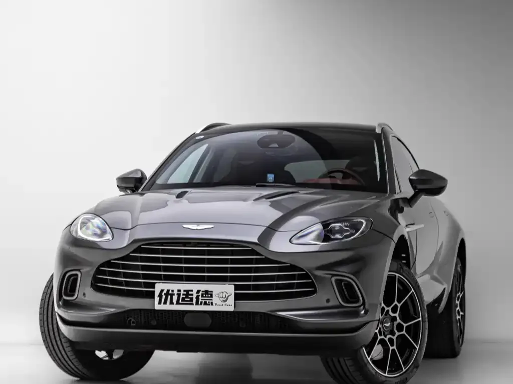 Aston Martin DBX 2021 из CN, фото 6