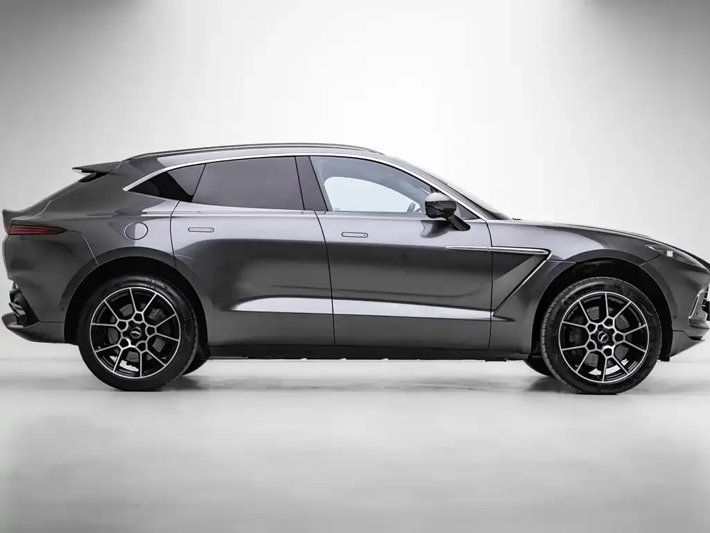 Aston Martin DBX 2021 из CN, фото 7