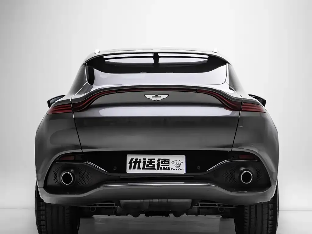 Aston Martin DBX 2021 из CN, фото 4
