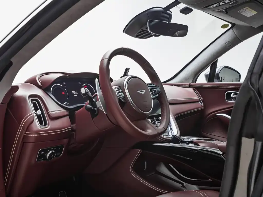 Aston Martin DBX 2021 из CN, фото 5