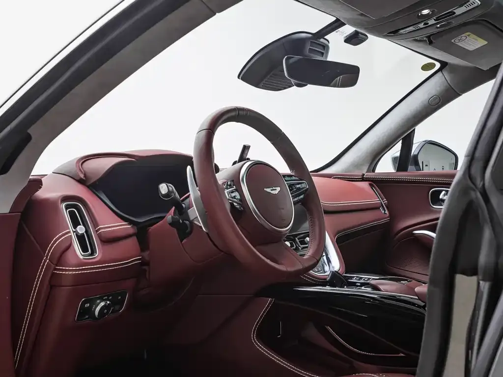 Aston Martin DBX 2021 из CN, фото 10