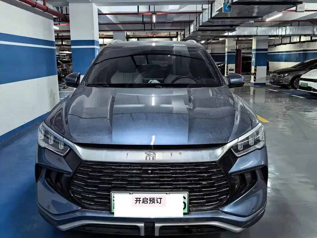 BYD Pro New Energy 2024 из CN, фото 1