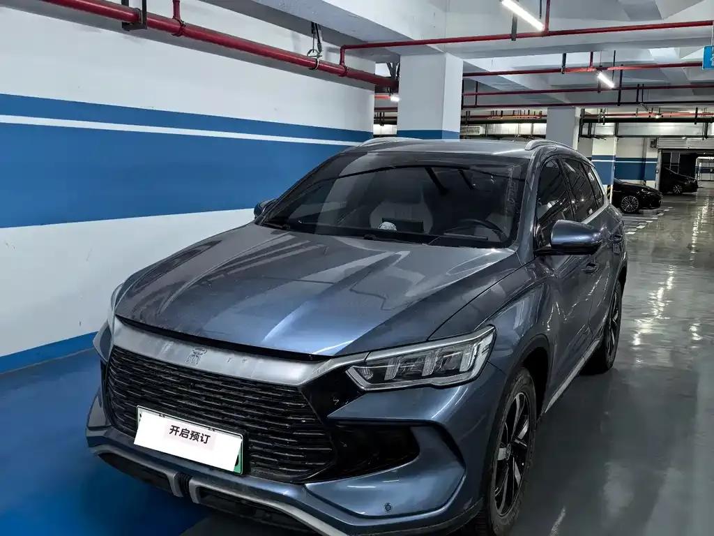 BYD Pro New Energy 2024 из CN, фото 7