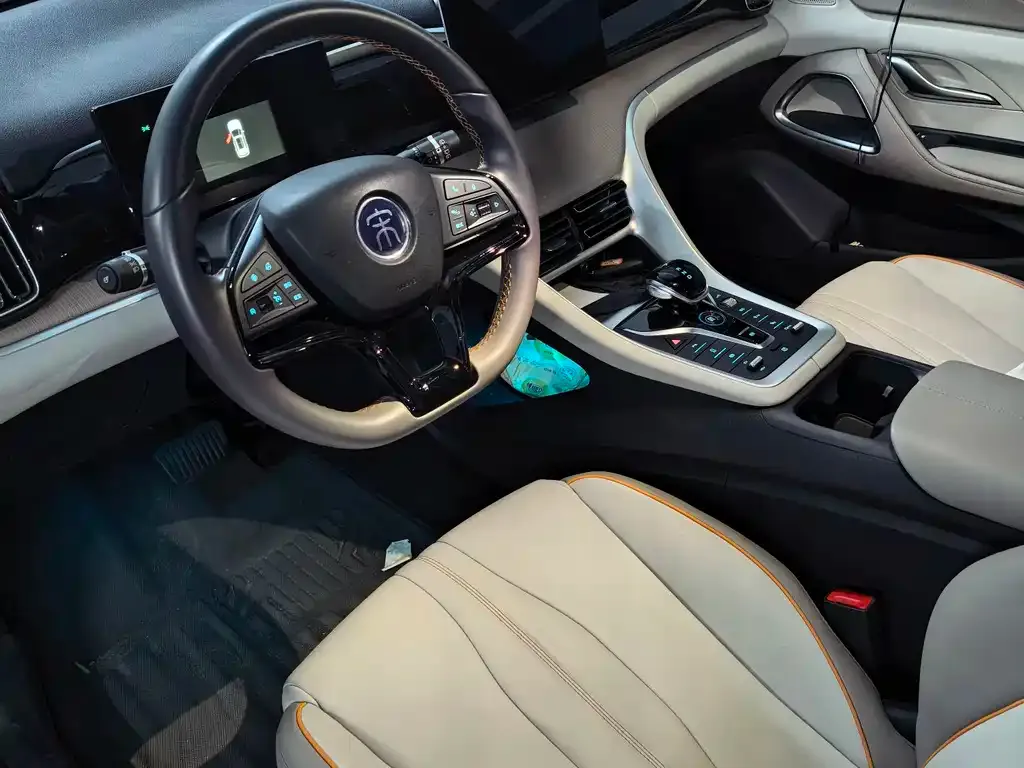 BYD Pro New Energy 2024 из CN, фото 2
