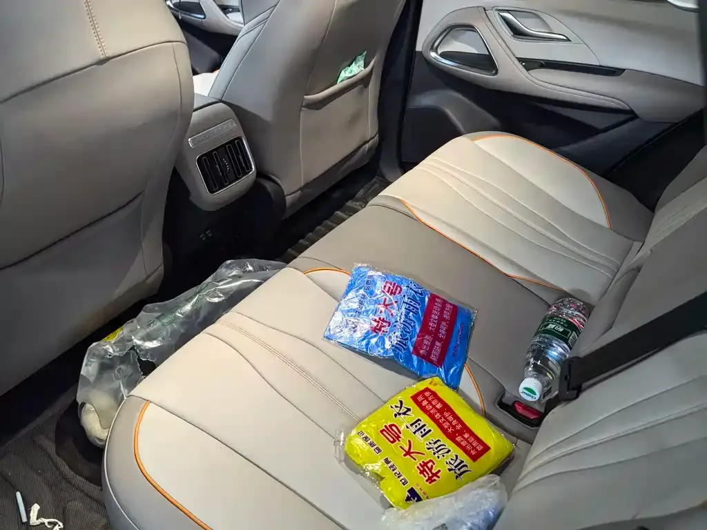 BYD Pro New Energy 2024 из CN, фото 4