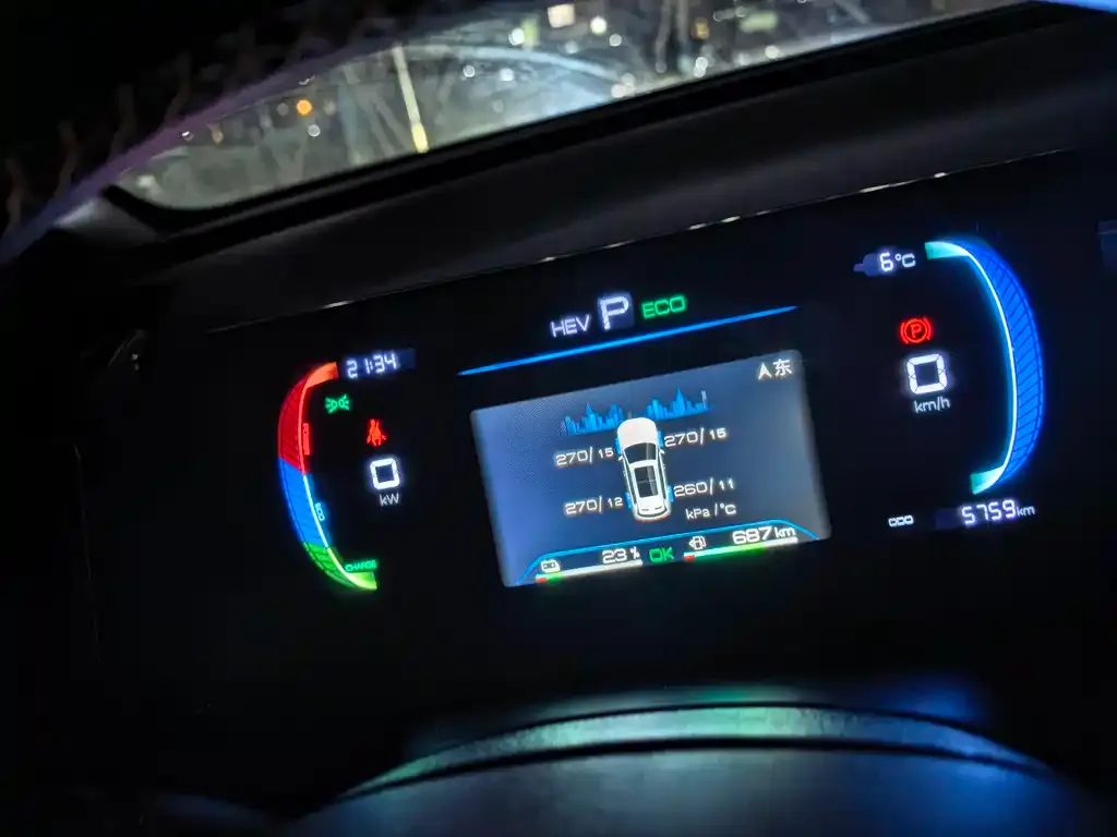 BYD Pro New Energy 2024 из CN, фото 3