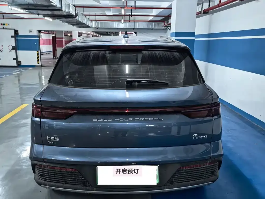 BYD Pro New Energy 2024 из CN, фото 5