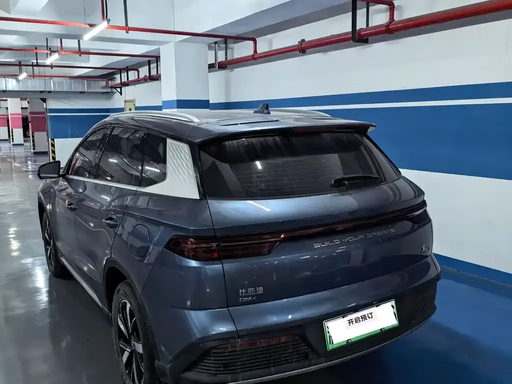 BYD Pro New Energy 2024 из CN, фото 8