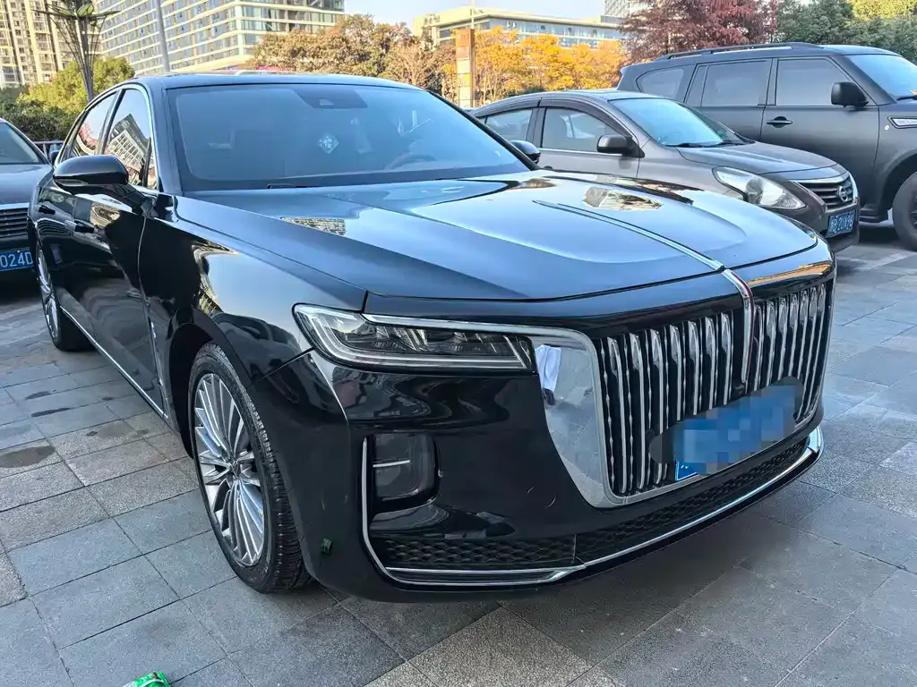 Hongqi H9 2021 из CN, фото 3