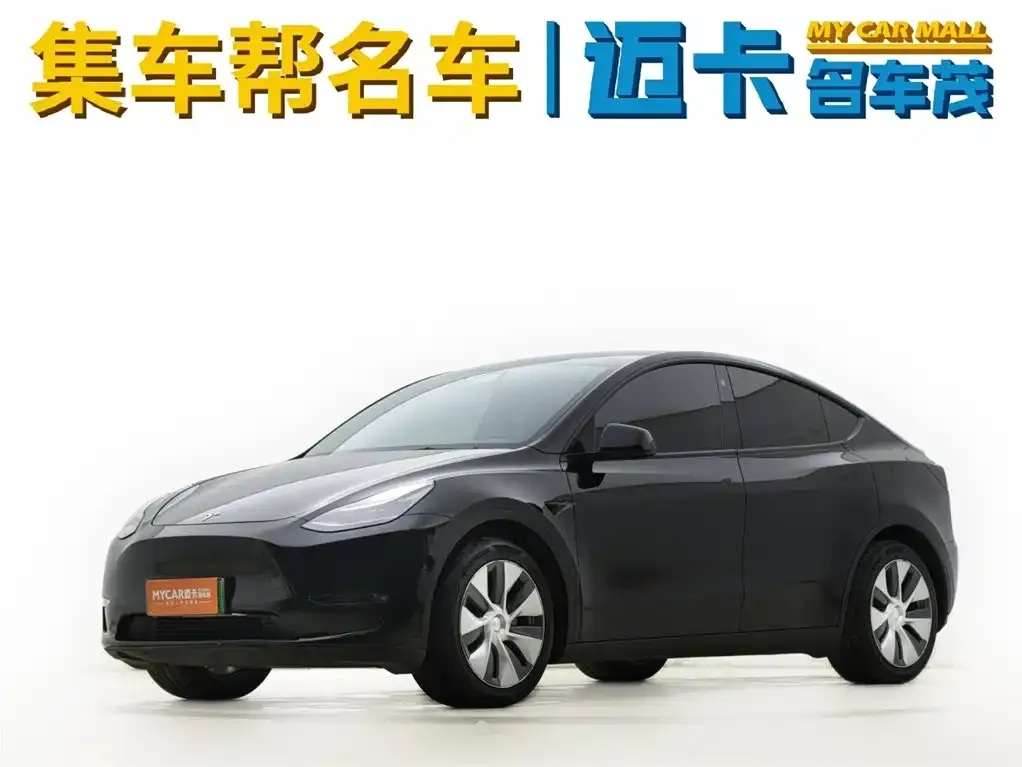 Tesla Model Y 2021 из CN, фото 1