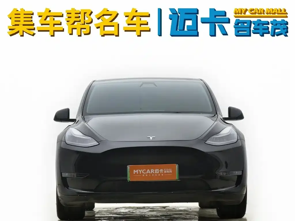 Tesla Model Y 2021 из CN, фото 4