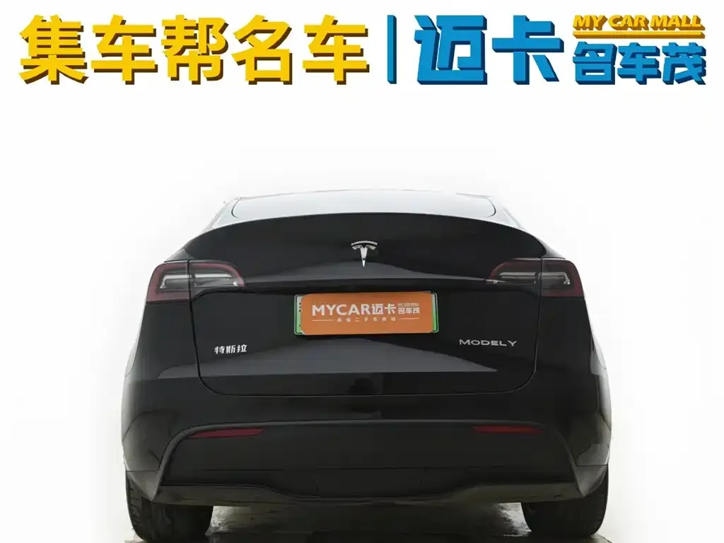 Tesla Model Y 2021 из CN, фото 6