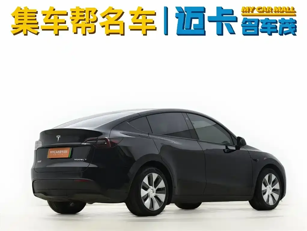 Tesla Model Y 2021 из CN, фото 7