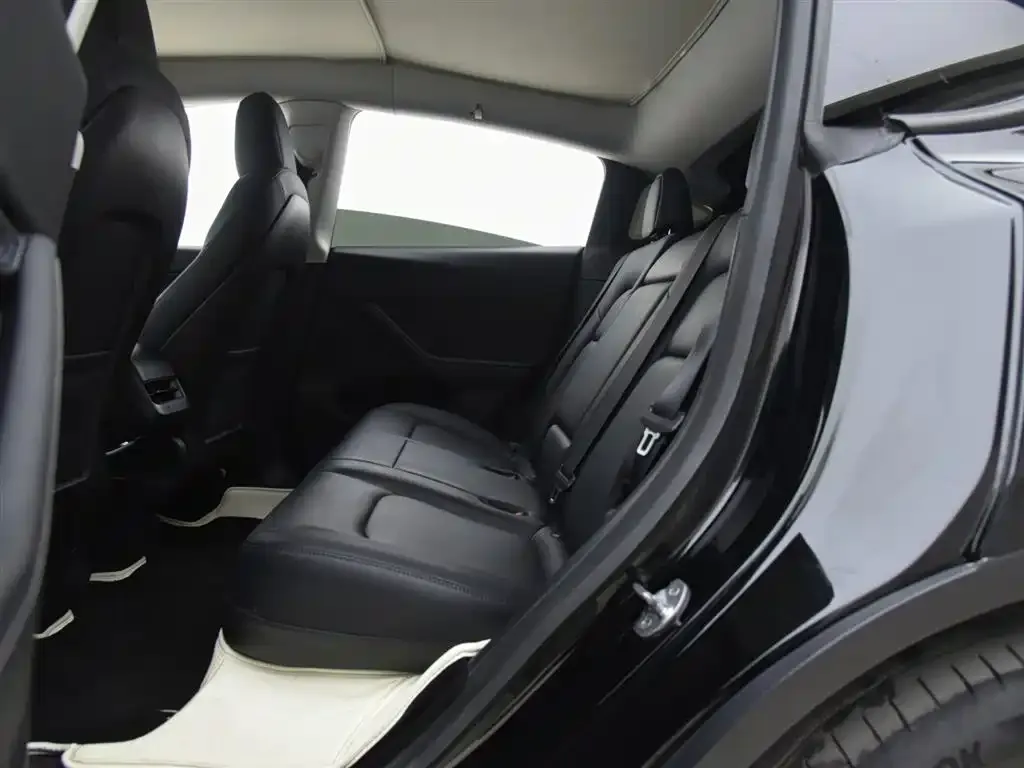 Tesla Model Y 2021 из CN, фото 8